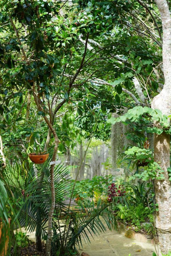 Posada Finca San Vicente B&B Barichara Exterior foto